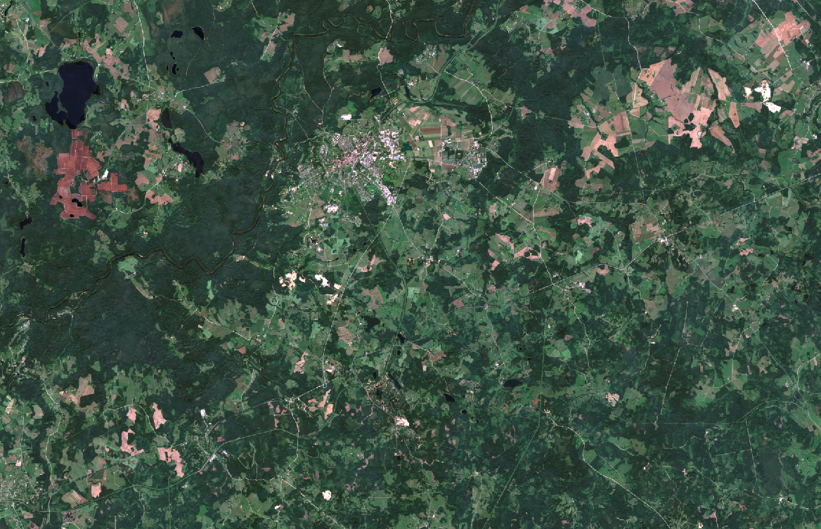 Sentinel 2